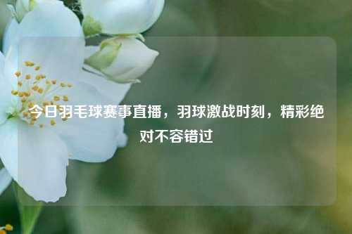今日羽毛球赛事直播，羽球激战时刻，精彩绝对不容错过