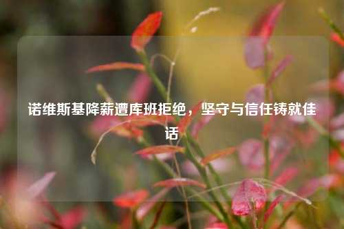 诺维斯基降薪遭库班拒绝，坚守与信任铸就佳话